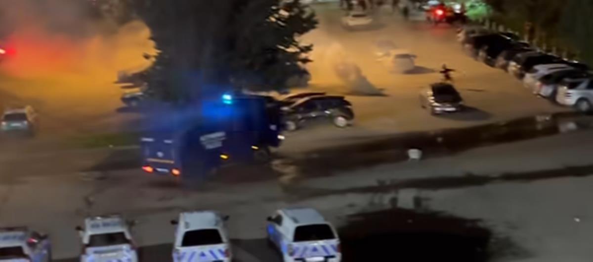 5398539251110540 cats