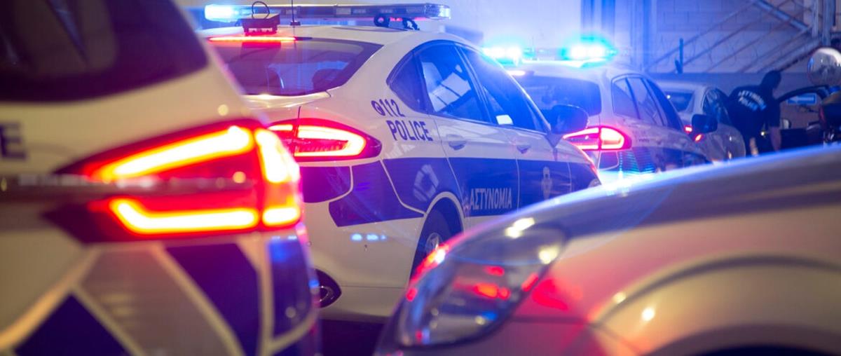 5398596298379249 cats