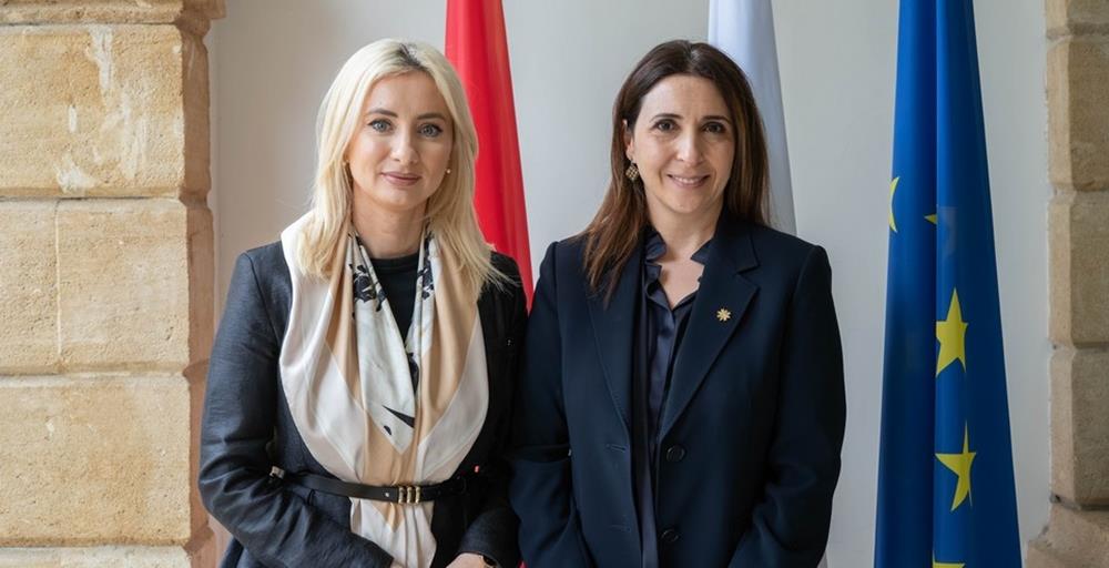 5398664767972316 cats