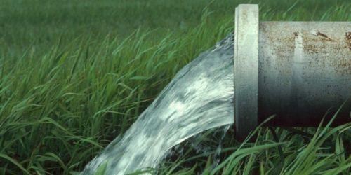 5398682403267896 image