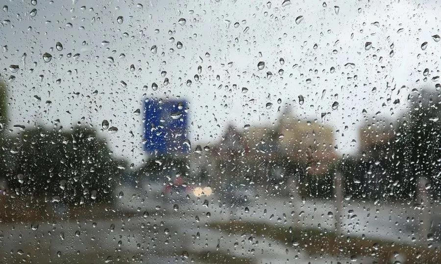 5399395167819577 image