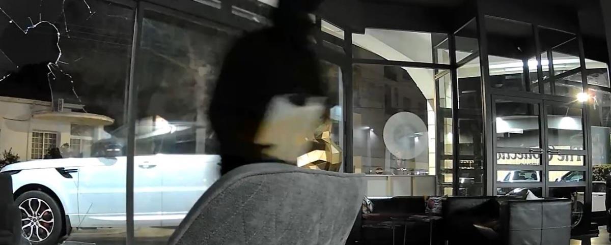 5399407265726308 image