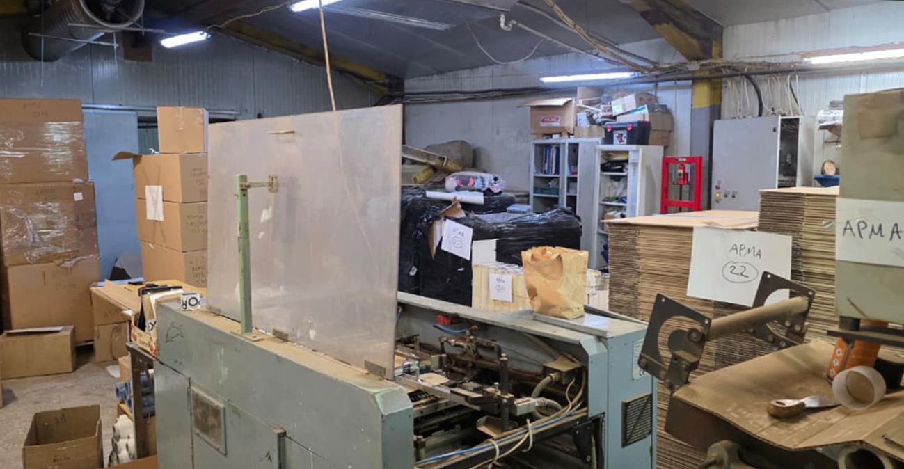 5399503409325055 image