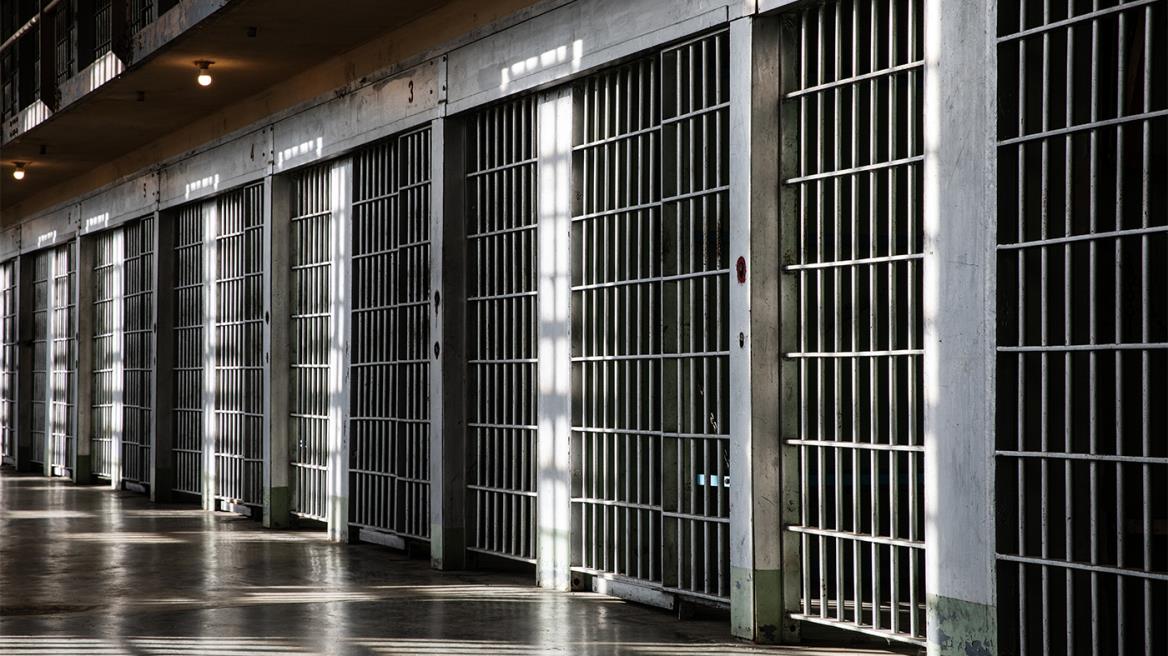 5399551403559159 image