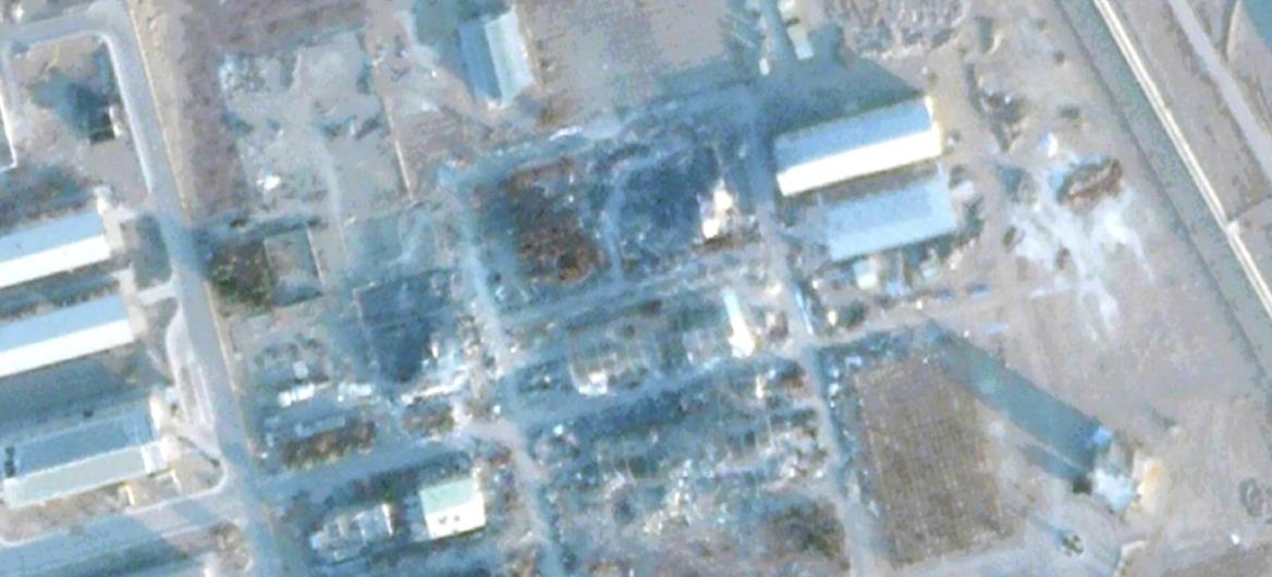 5399572928479007 cats