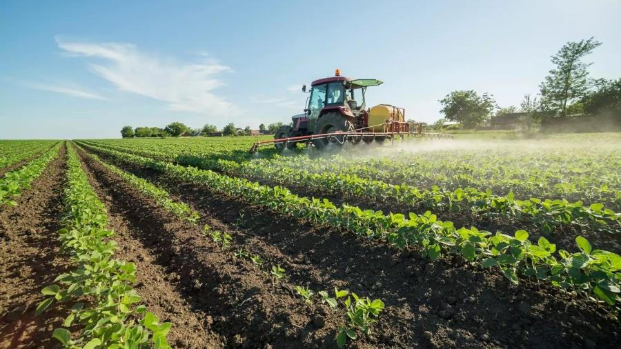 5399763105601977 cap