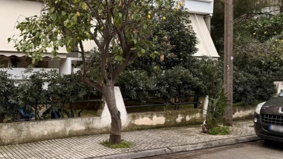 5399765840790960 elefsina-xrm