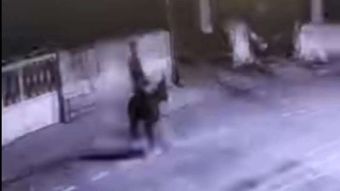 5400408967936795 image