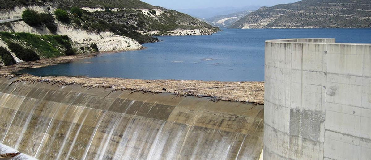 5400431963289656 cats