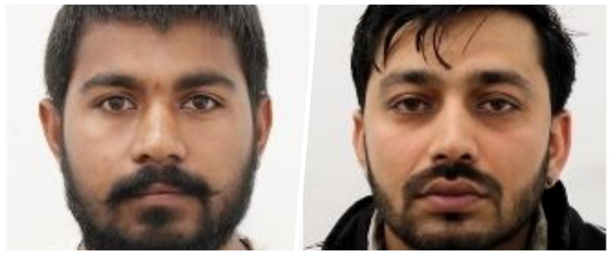 5400563377630812 collage