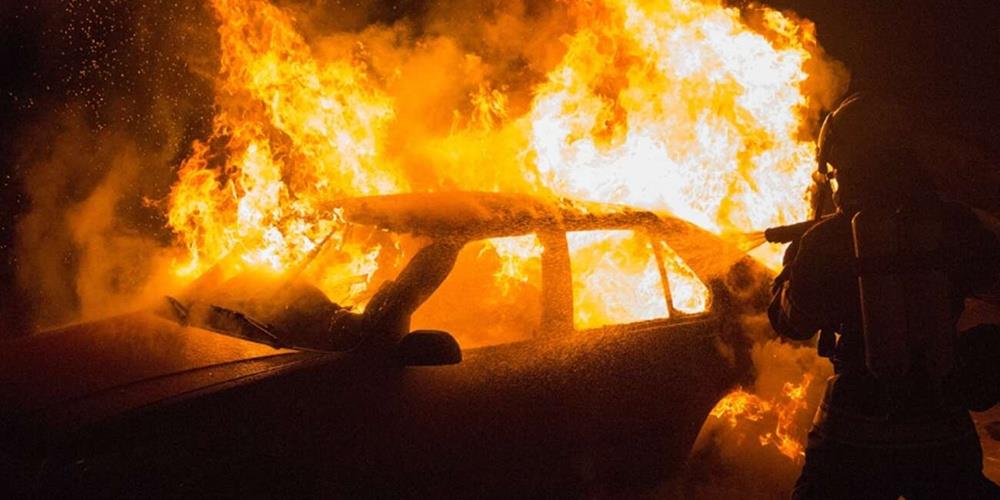 5401123426305530 cats