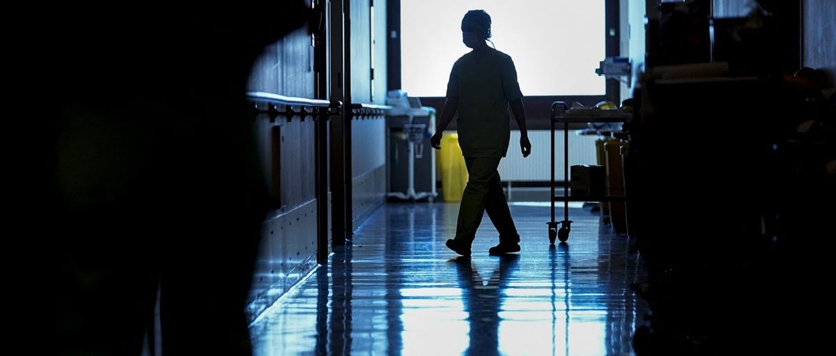 5401244751602049 cats