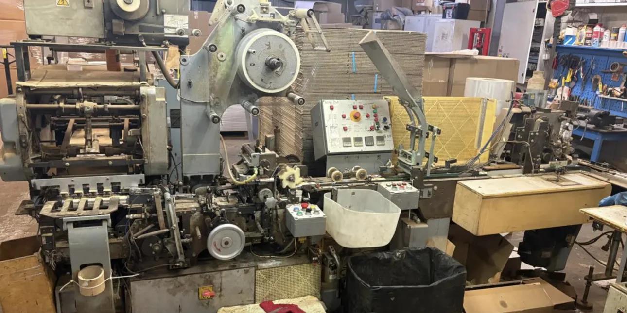 5401375471233648 image