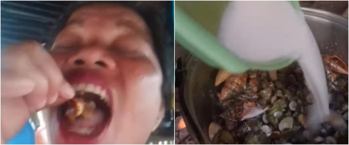 5401446862396895 collage54456