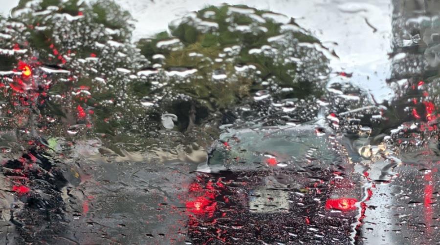 5401459736910516 thumb  800 0 0 0 auto