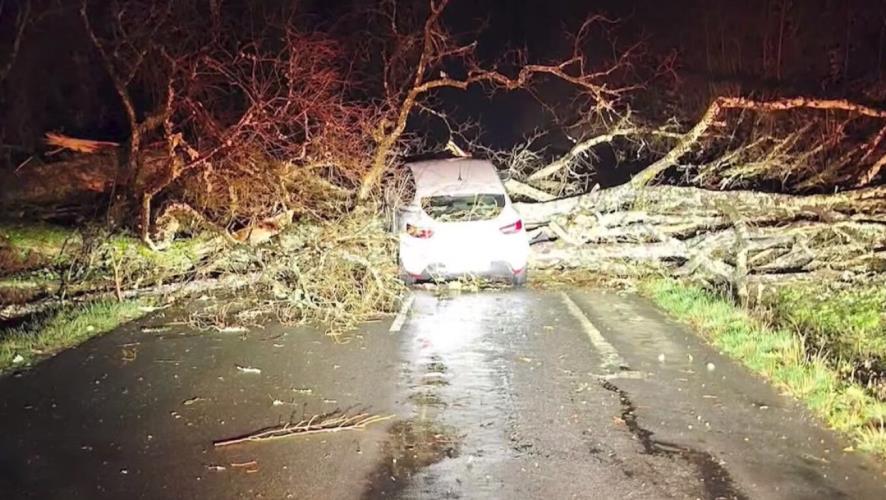 5401461226149530 image