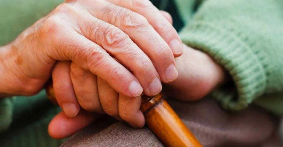 5402339034552064 image