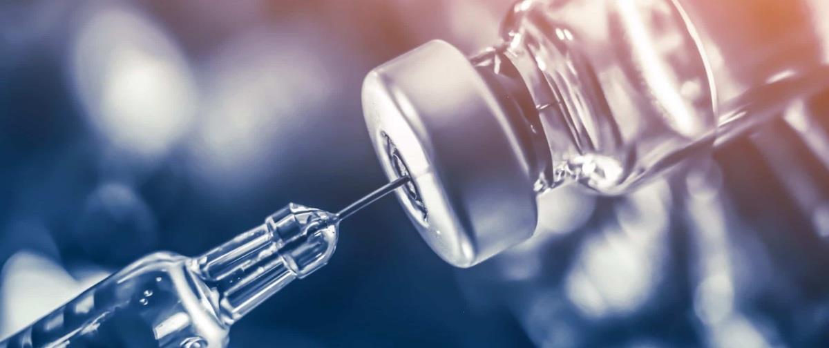 5402386169440212 image