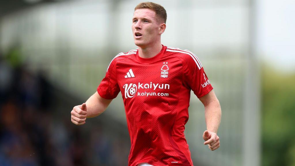 5402883428647304 image