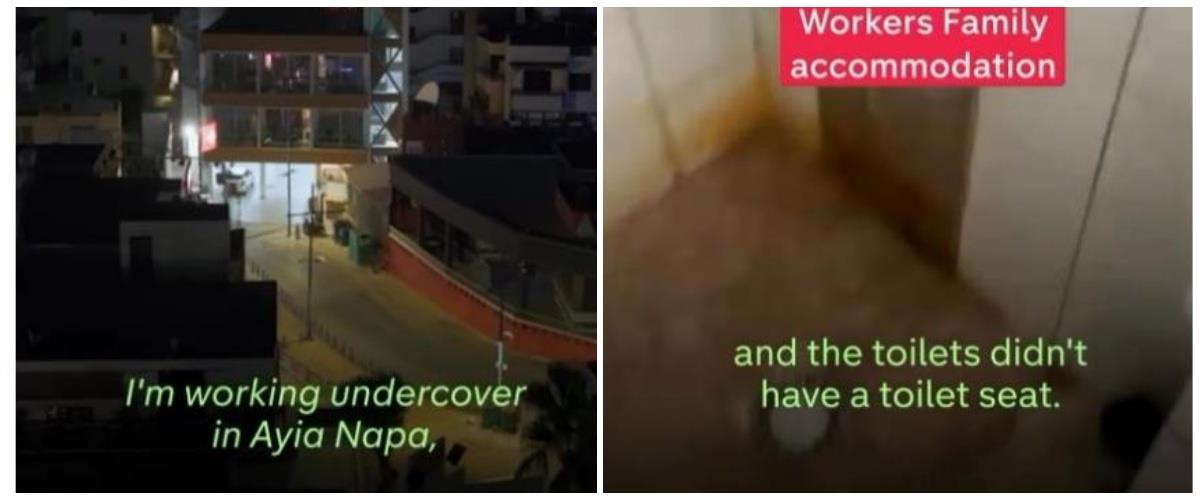 5402214822723437 collage