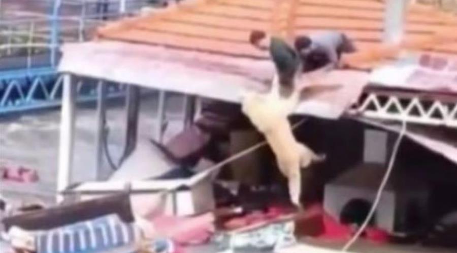 5404146827834433 b264d6a5-5034-44e4-84ad-3e99be86fdd8