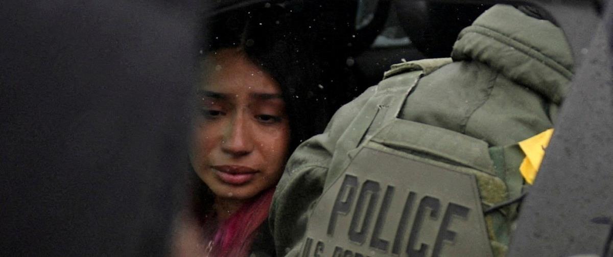 5404722403416614 cats