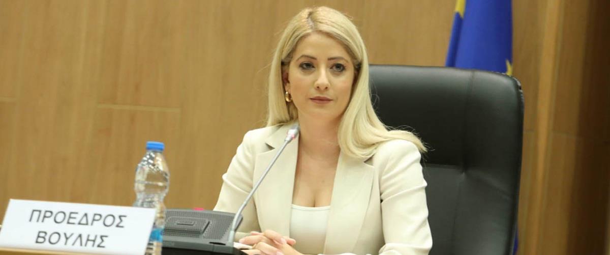 5404898098079908 annitadimitriou