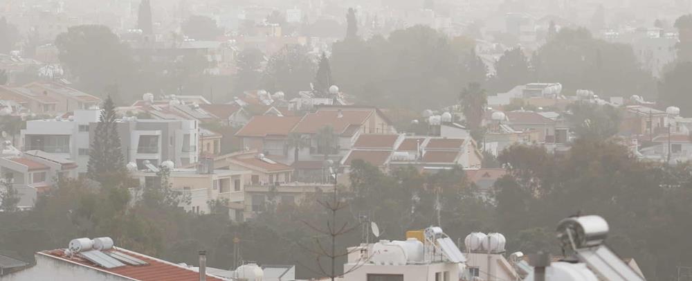 5405471284339363 cats