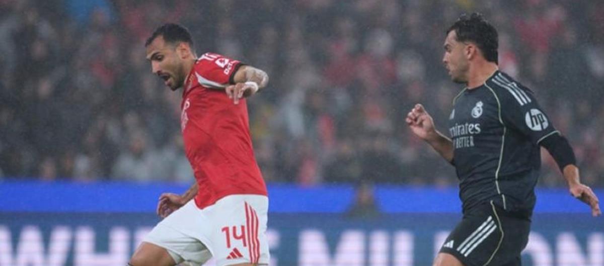 5405497468110525 cats