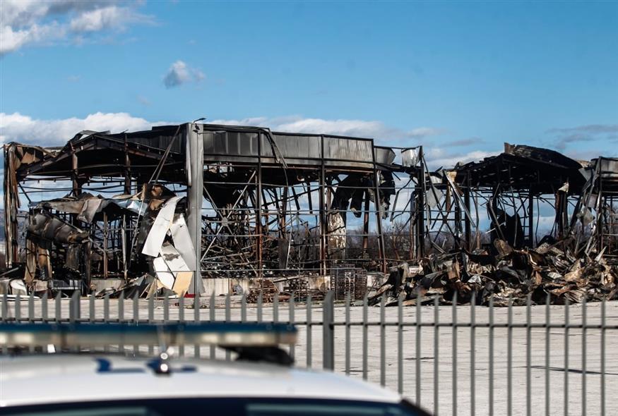 5405558920666084 image