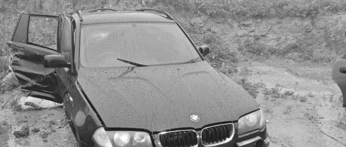 5406377070735678 cats