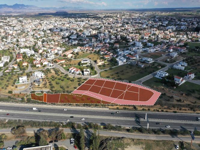 5406609535937553 CG10411