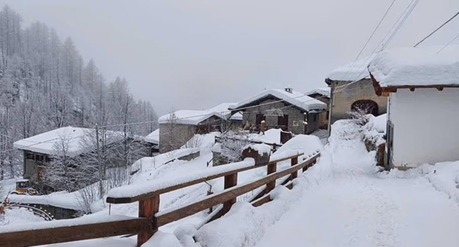 5406646607508661 image