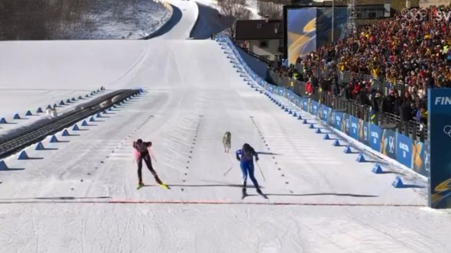 5406717959658581 image