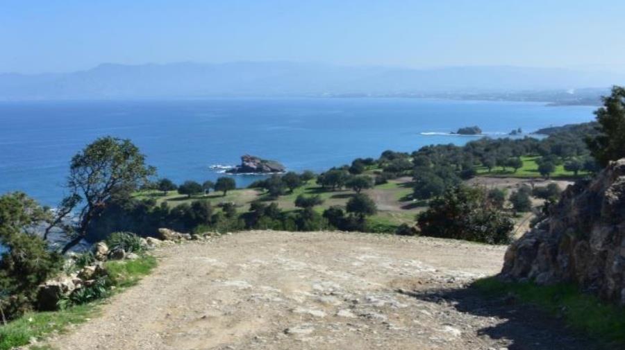 5408161440386304 cache 1300x500 Analog medium 1388946 153126 26 02 20 103335