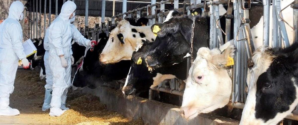 &Sigma;&epsilon; &epsilon;&xi;έ&lambda;&iota;&xi;&eta; &sigma;ύ&sigma;&kappa;&epsilon;&psi;&eta; &alpha;&rho;&mu;&omicron;&delta;ί&omega;&nu; &mu;&epsilon; &Pi;&alpha;&nu;&alpha;&gamma;&iota;ώ&tau;&omicron;&upsilon; &mu;&epsilon;&tau;ά &tau;&omicron; &pi;&rho;ώ&tau;&omicron; &pi;&epsilon;&rho;&iota;&sigma;&tau;&alpha;&tau;&iota;&kappa;ό &alpha;&phi;&theta;ώ&delta;&omicron;&upsilon;&sigmaf; &pi;&upsilon;&rho;&epsilon;&tau;&omicron;ύ &sigma;&tau;&eta; &Lambda;ά&rho;&nu;&alpha;&kappa;&alpha;