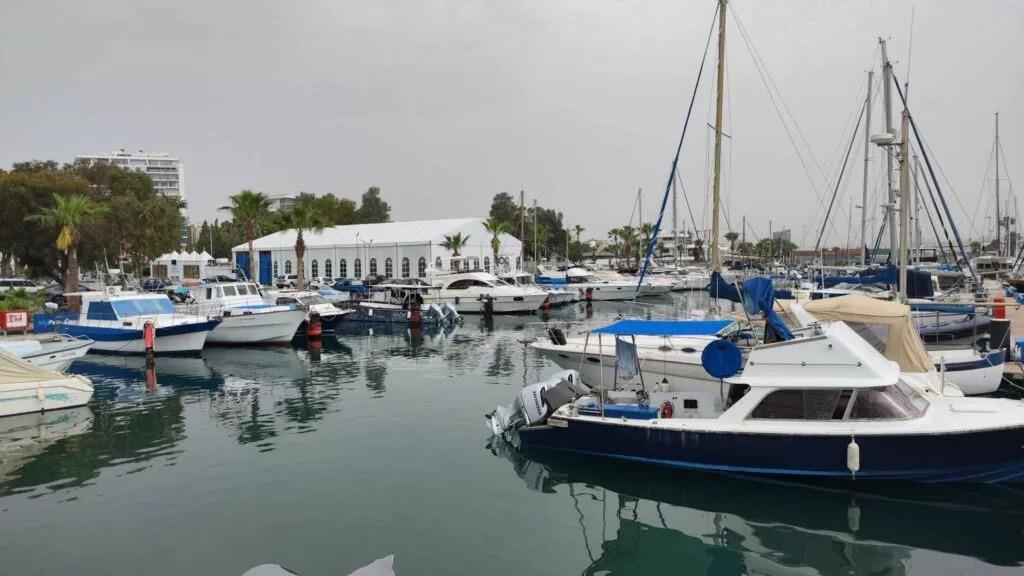 5408473045332667 image