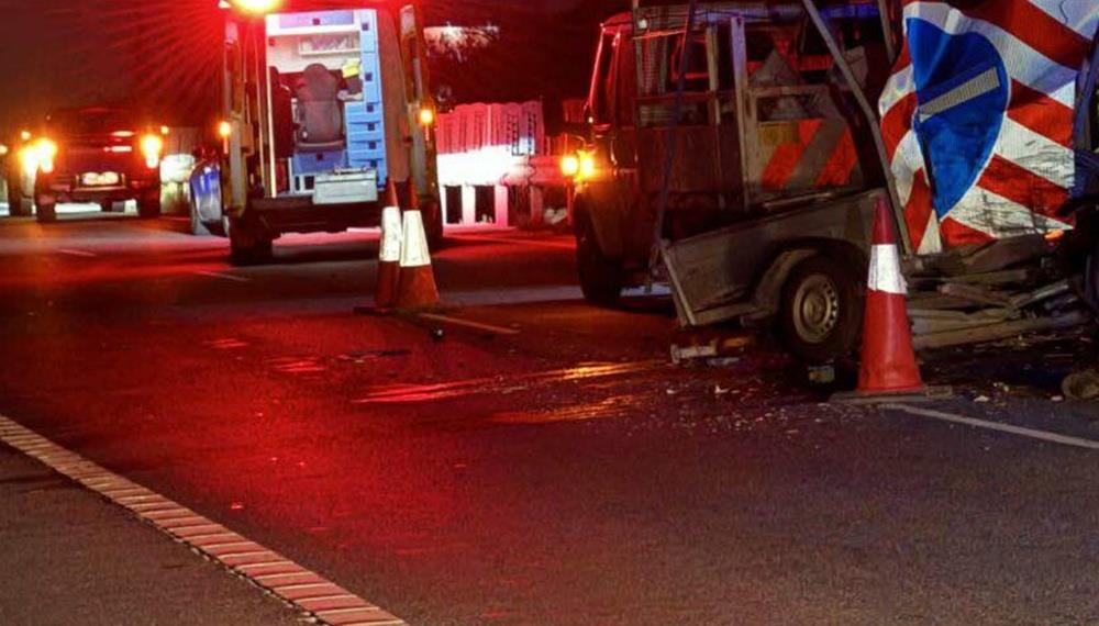 5408522017324806 cats