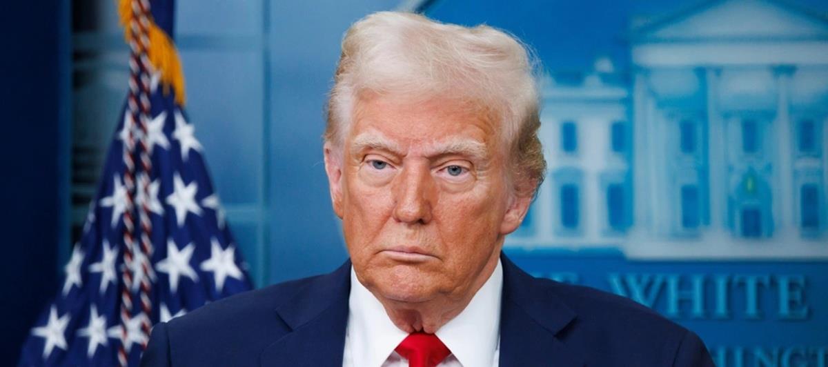 5408528500706375 cats