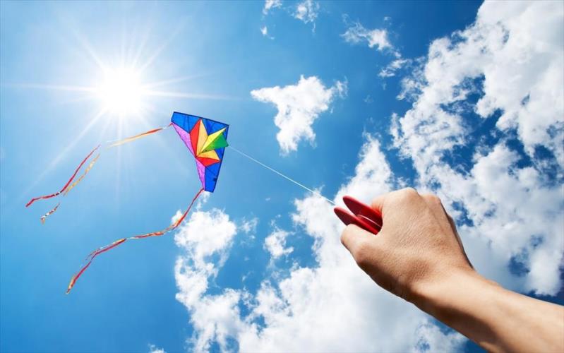 5409042177847206 image