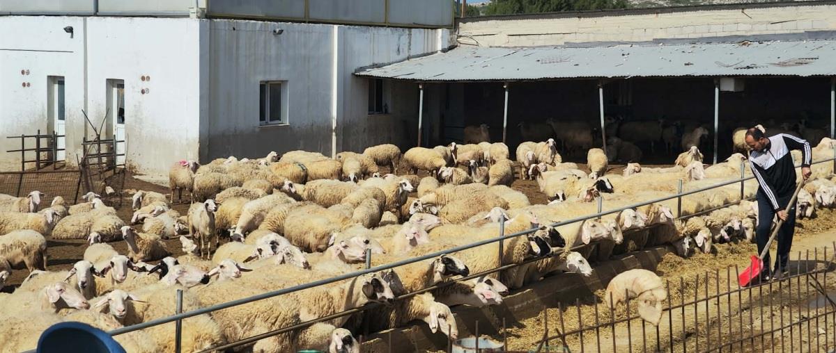 5409099986109040 635068309 902863522448585 4036591927634824927 n