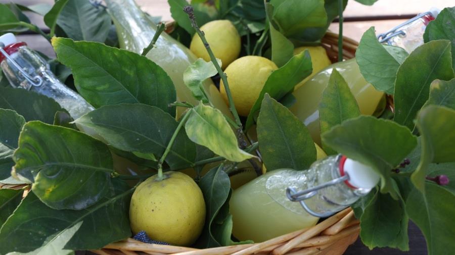 5409186628438187 637872685 1424781726325330 2826231185367372180 n