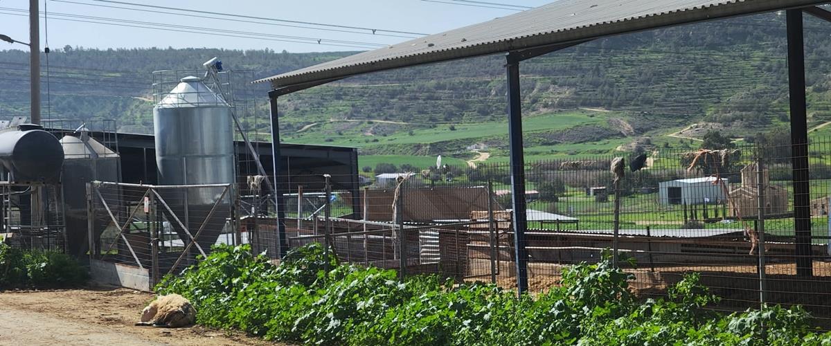 5409766372240372 kyria