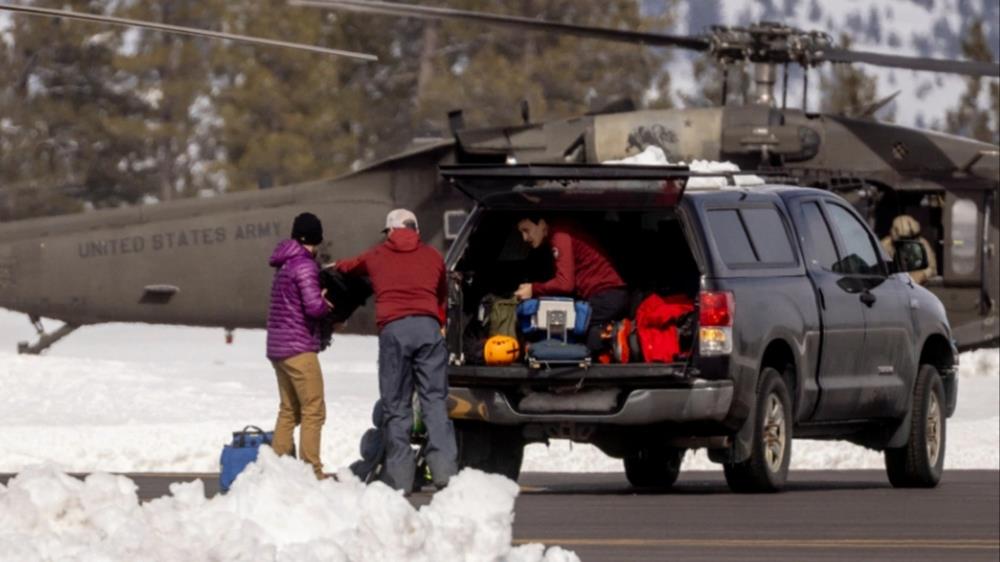 5409838712411117 cats