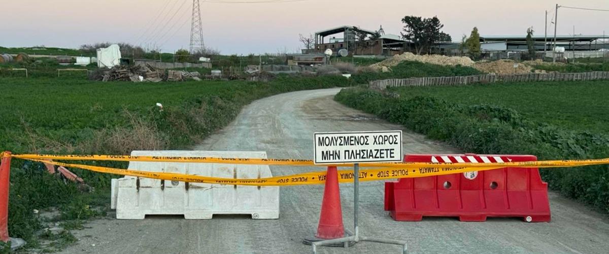 5409965518999979 cats