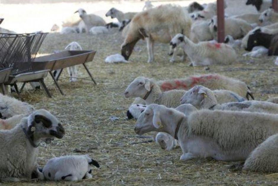 5410002480029072 image