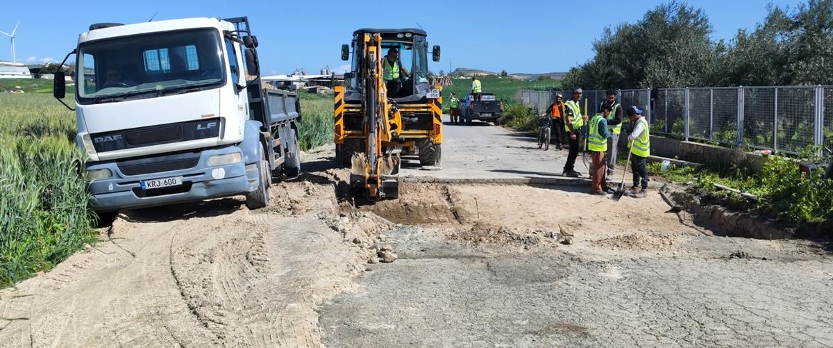 5410037341385443 cats