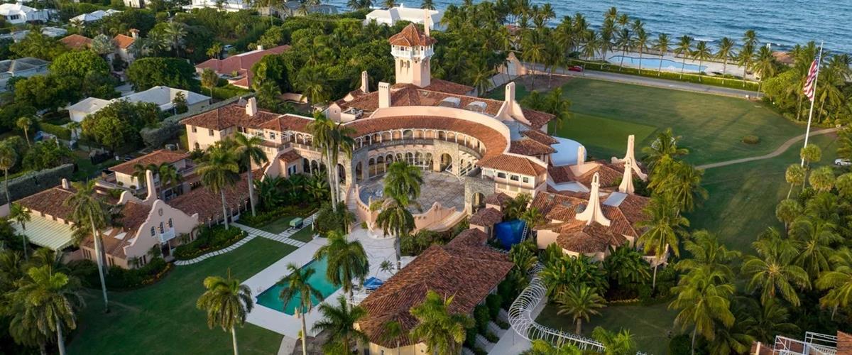 5410134972747319 cats