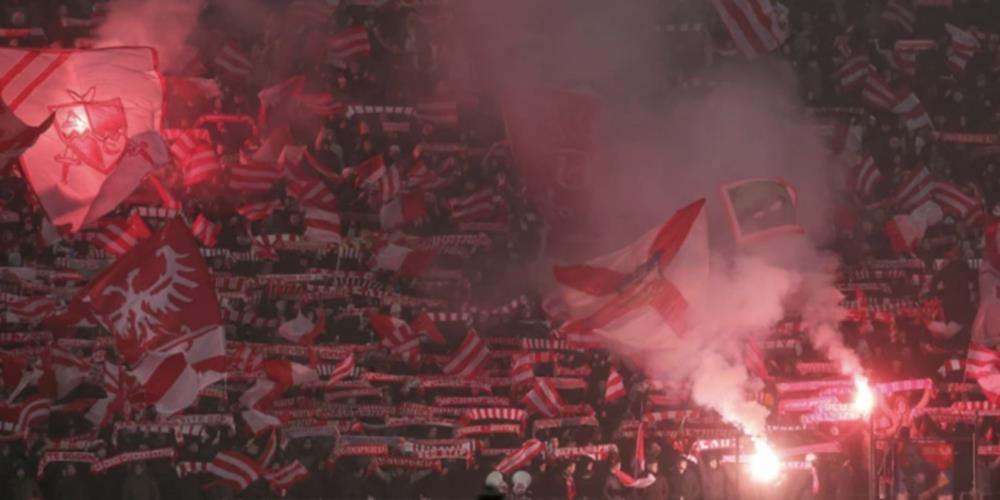 5410150848403427 cats