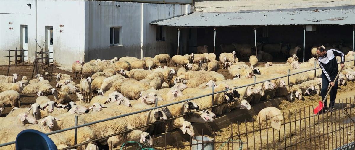 &Epsilon;&pi;&iota;&delta;&epsilon;&iota;&nu;ώ&nu;&epsilon;&tau;&alpha;&iota; &eta; &kappa;&alpha;&tau;ά&sigma;&tau;&alpha;&sigma;&eta; &mu;&epsilon; &tau;&omicron;&nu; &alpha;&phi;&theta;ώ&delta;&eta; &pi;&upsilon;&rho;&epsilon;&tau;ό, &kappa;&rho;&omicron;ύ&sigma;&mu;&alpha;&tau;&alpha; &sigma;&epsilon; έ&xi;&iota; &mu;&omicron;&nu;ά&delta;&epsilon;&sigmaf;-&Pi;&lambda;&eta;&rho;&omicron;&phi;&omicron;&rho;ί&epsilon;&sigmaf; &gamma;&iota;&alpha; &epsilon;&mu;&pi;&lambda;&omicron;&kappa;ή &delta;&iota;&alpha;&kappa;&iota;&nu;&eta;&tau;ή &zeta;&omega;&omicron;&tau;&rho;&omicron;&phi;ώ&nu; &alpha;&pi;ό &tau;&alpha; &kappa;&alpha;&tau;&epsilon;&chi;ό&mu;&epsilon;&nu;&alpha;